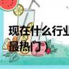 現在什么行業前景好最賺錢的（現在什么行業最熱門）