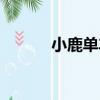小鹿單車（關于小鹿單車簡介）
