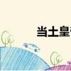 當土皇帝（關于當土皇帝介紹）