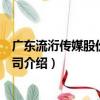 廣東流洐傳媒股份有限公司（關于廣東流洐傳媒股份有限公司介紹）
