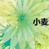 小麥湯（關于小麥湯簡介）