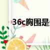 36c胸圍是多少公分（36c胸圍是多少）