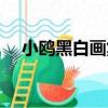 小鷗黑白畫集（關于小鷗黑白畫集簡介）
