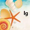 lg kx195（lg kx266）