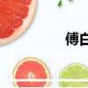 傅白是一個怎樣的老師？