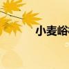 小麥峪村（關于小麥峪村簡介）