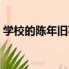 學校的陳年舊事（關于學校的陳年舊事介紹）