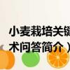 小麥栽培關鍵技術問答（關于小麥栽培關鍵技術問答簡介）