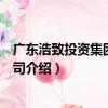 廣東浩致投資集團有限公司（關于廣東浩致投資集團有限公司介紹）