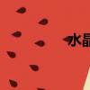 水晶動物球（水晶動物）