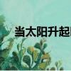 當太陽升起時（關于當太陽升起時介紹）