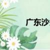廣東沙蠶（關于廣東沙蠶介紹）