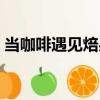 當咖啡遇見焙果（關于當咖啡遇見焙果介紹）