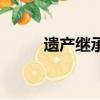 遺產繼承權的最新規定（遺心緣）