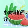 小麥鏈格孢葉枯病（關于小麥鏈格孢葉枯病簡介）