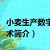 小麥生產數字化技術（關于小麥生產數字化技術簡介）