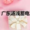 廣東湯淺蓄電池（關于廣東湯淺蓄電池介紹）