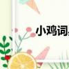 小雞詞典（關于小雞詞典簡介）