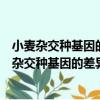 小麥雜交種基因的差異表達與雜種優勢遺傳機理（關于小麥雜交種基因的差異表達與雜種優勢遺傳機理簡介）