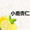 小鹿杏仁兒（關于小鹿杏仁兒簡介）