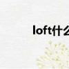 loft什么值得買（loft什么意思）
