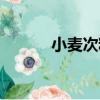 小麥次粉（關于小麥次粉簡介）