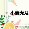 小麥殼月孢（關于小麥殼月孢簡介）