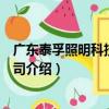 廣東泰孚照明科技有限公司（關于廣東泰孚照明科技有限公司介紹）