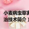 小麥病蟲草害防治技術（關于小麥病蟲草害防治技術簡介）