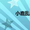 小鹿亂撞（關于小鹿亂撞簡介）