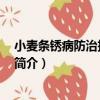 小麥條銹病防治技術規范 （關于小麥條銹病防治技術規范 簡介）