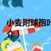 小麥附球孢葉枯病（關于小麥附球孢葉枯病簡介）