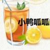 小鴨呱呱叫（關于小鴨呱呱叫簡介）