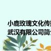 小鹿玫瑰文化傳播 武漢有限公司（關于小鹿玫瑰文化傳播 武漢有限公司簡介）