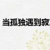 當孤獨遇到寂寞（關于當孤獨遇到寂寞介紹）