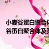 小麥谷蛋白聚合體及其在小麥品質育種中的應用（關于小麥谷蛋白聚合體及其在小麥品質育種中的應用簡介）