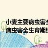 小麥主要病蟲害全生育期綜合防治技術規程（關于小麥主要病蟲害全生育期綜合防治技術規程簡介）