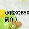 小鴨XQB50-315S（關于小鴨XQB50-315S簡介）