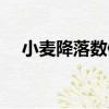 小麥降落數值（關于小麥降落數值簡介）