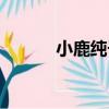 小鹿純子（關于小鹿純子簡介）
