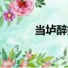 當壚醉妃（關于當壚醉妃介紹）