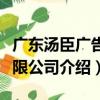 廣東湯臣廣告有限公司（關于廣東湯臣廣告有限公司介紹）