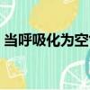 當呼吸化為空氣（關于當呼吸化為空氣介紹）