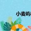 小麥嶼村（關于小麥嶼村簡介）