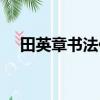 田英章書法作品硬筆（田英章書法作品）