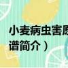 小麥病蟲害原色圖譜（關于小麥病蟲害原色圖譜簡介）