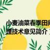 小麥油菜春季田間管理技術意見（關于小麥油菜春季田間管理技術意見簡介）