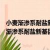 小麥漸滲系耐鹽新基因精細定位與作用機制研究（關于小麥漸滲系耐鹽新基因精細定位與作用機制研究簡介）