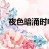 夜色暗涌時電視劇（夜色暗涌時 電視劇）