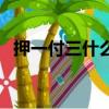 押一付三什么意思呢（押一付三什么意思）